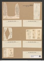 Rhaphoneis amphiceras Ehr. (de-Toni-Nr.: Genus 78, Species 2811) Zeichnungen Sammlung Grunow Nr. 5774 (NHMW-BOT-W0374169)